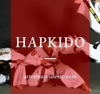Hapkido | Todo lo que necesitas sabe sobres este arte marcial
