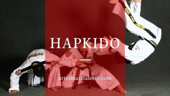 Hapkido | Todo lo que necesitas sabe sobres este arte marcial