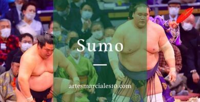 Sumo - Origen historia y mucho más