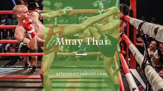 Análisis PAOS Muay thai NKL, ¡Hola luchadores! En el capítulo de hoy  analizamos los paos de muay thai de NKL. Este material resulta  imprescindible para entrenamientos de artes