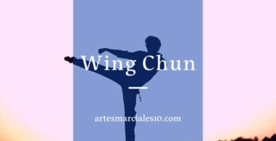 Wing chun