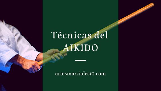 Técnicas del aikido